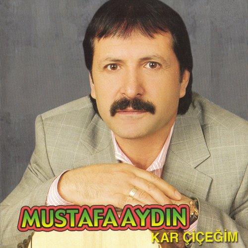 Doldu Diyorlar cover art