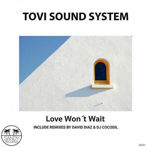 Love Won´t Wait (Dj Cocodil Remix) cover art