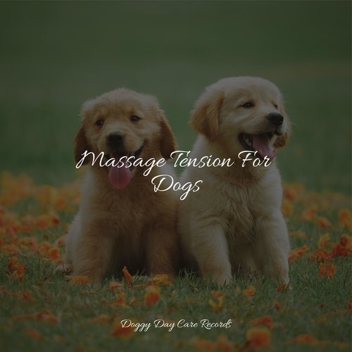 Meditating Music cover art