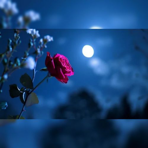 Mohabbat ke Wo Kya Din the