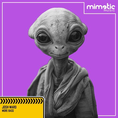 More Bass cover art