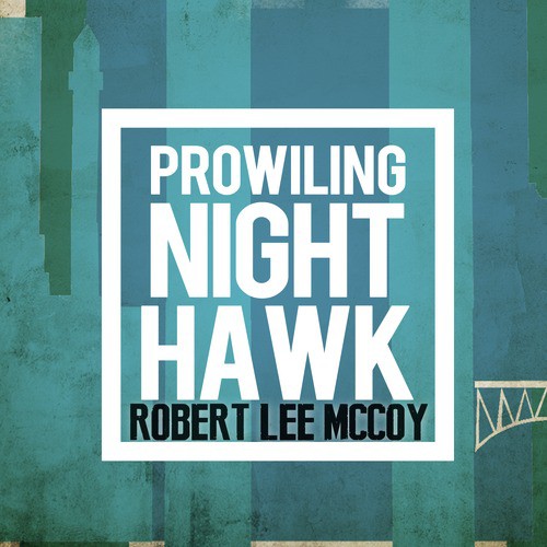 Prowling Nighthawk