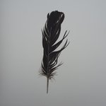 The Dark