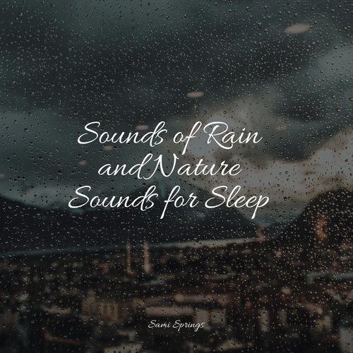 Sounds of Rain and Nature Sounds for Sleep_poster_image