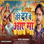 Tere Dar Pe Aaye Hai Maa (Hindi)