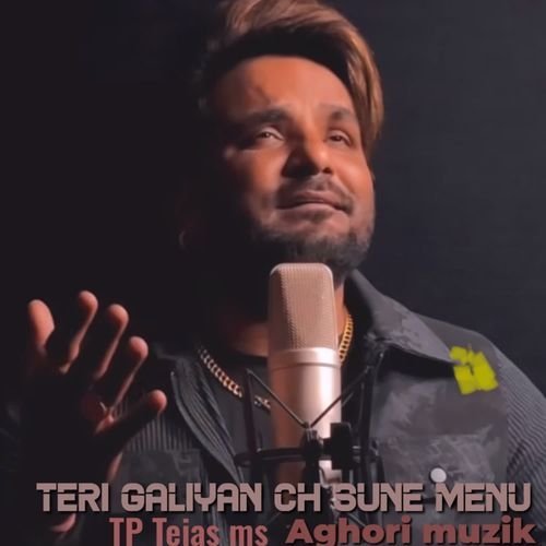 Teri Galiyan Ch Sune Menu