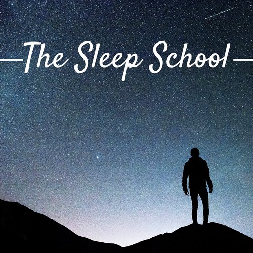 Sleep System cover art
