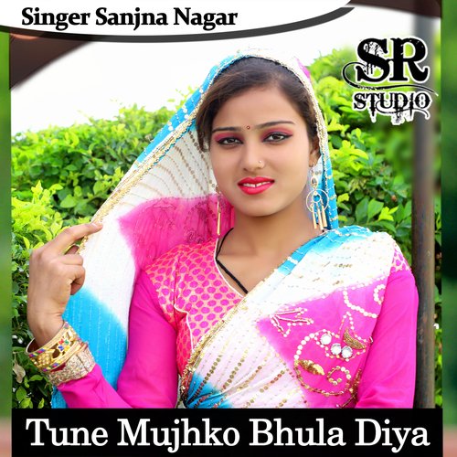 Tune Mujhko Bhula Diya