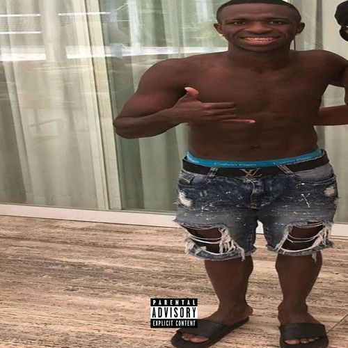 VINiCiUS cover art