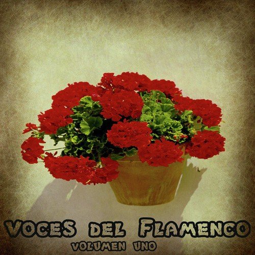 Voces del Flamenco Vol. 1