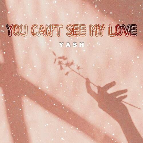 You Can&#039;t See My Love