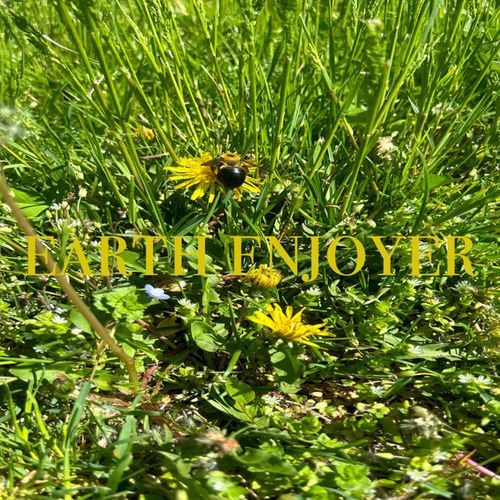 earth enjoyer cover art