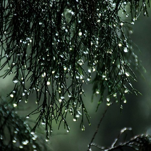 2 Hours of Rain Sounds for Relaxation