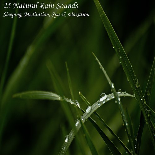 Summer Downpours cover art