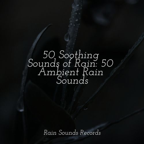 50 Soothing Sounds of Rain: 50 Ambient Rain Sounds