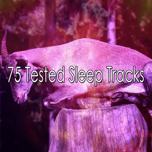 75 Tested Sleep Tracks