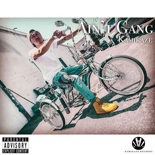 Ain't Gang_poster_image