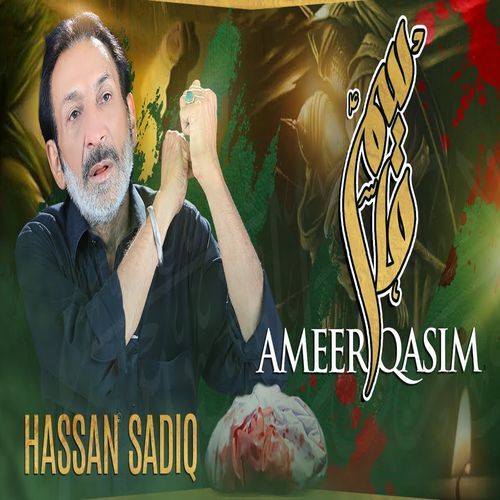 Ameer Qasim