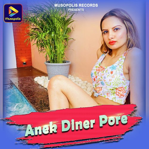 Anek Diner Pore