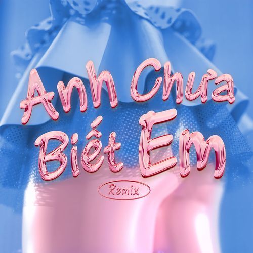 Anh Chưa Biết Em (Remix)