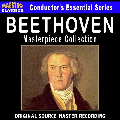 Piano Concerto No. 5 in E-flat Major, Op. 73 "Emperor": I. Allegro