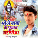 Bhole Baba Ke Pujab Charniya