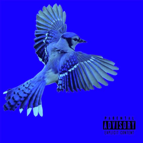 Blue Jay cover art