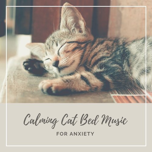 Music for Cats