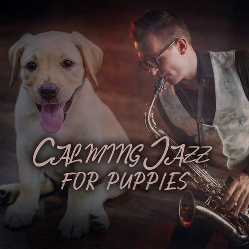 Calming Jazz for Puppies