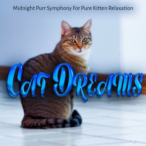 Tender Cat Moments Oasis