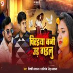 Chiraiya Ban Ke Udi Gaile