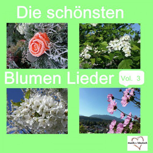 Die schönsten Blumen Lieder, Vol. 3