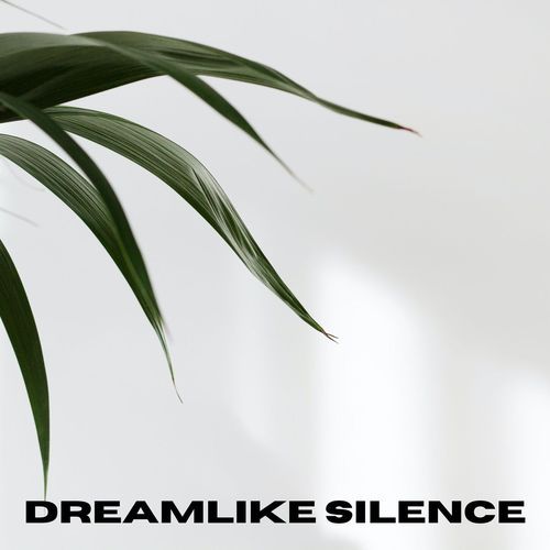 Dreamlike Silence_poster_image