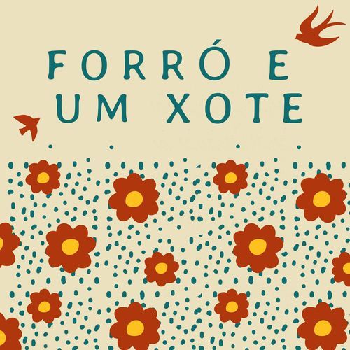 Forró e um xote_poster_image