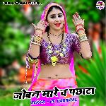 Joban Mare Ch Pachata