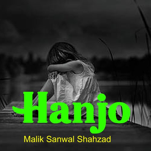 Malik Sanwal Shahzad