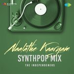 Naalathe Kaaryam - Synthpop Mix