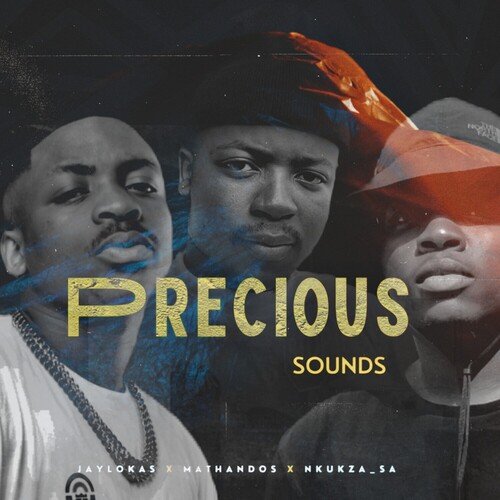 Precious Sounds_poster_image