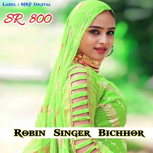 Robin Singer SR 800
