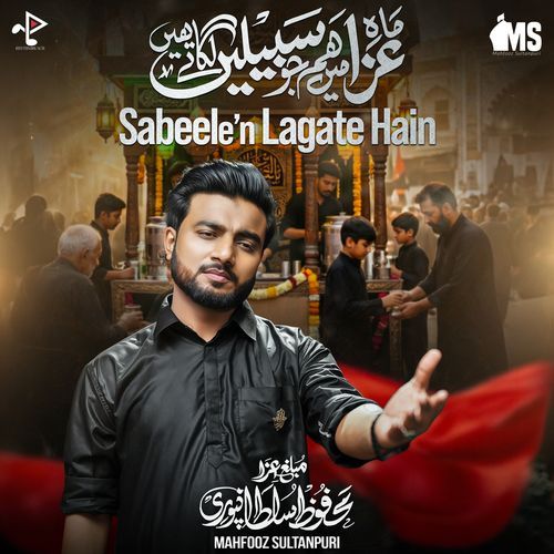 Sabeelen Lagate Hain