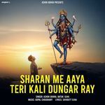 Sharan Me Aaya Teri Kali Dungar Ray