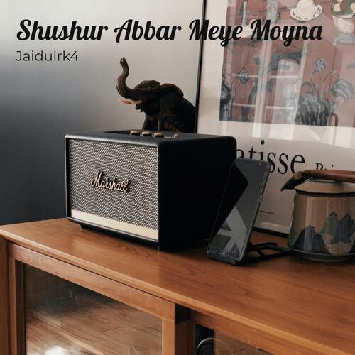 Shushur Abbar Meye Moina