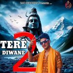 Tere Diwane 2