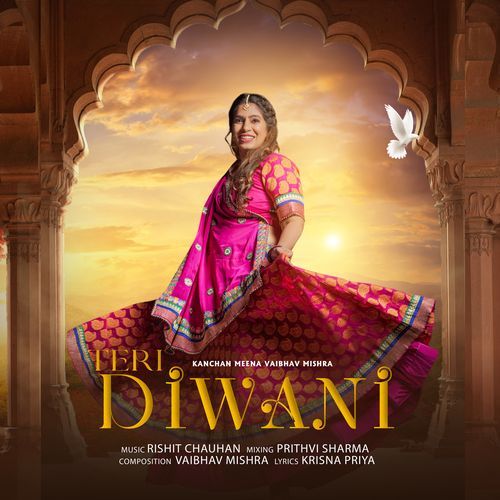 Teri Diwani