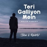 Teri Galliyon Mein (Slow &amp; Reverb)