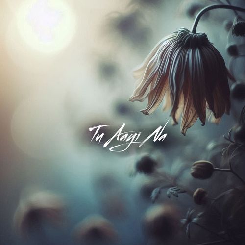 Tu Aayi Na