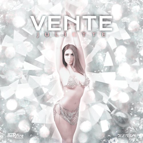 Vente_poster_image