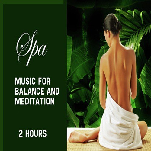 Wellness: 2 Hours Music for Balance and Meditation