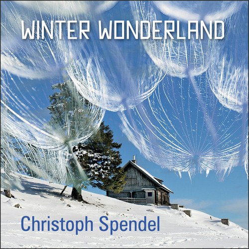 Winter Wonderland