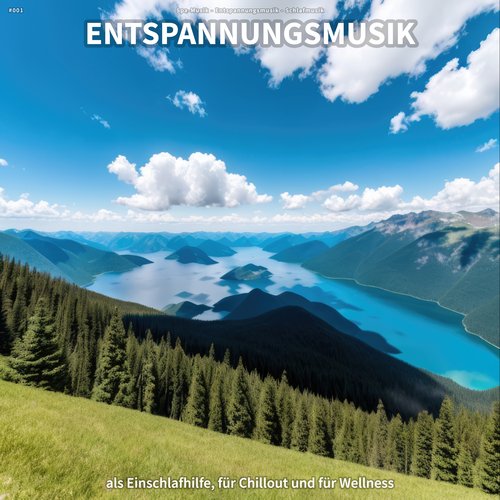 #001 Entspannungsmusik als Einschlafhilfe, für Chillout und für Wellness_poster_image